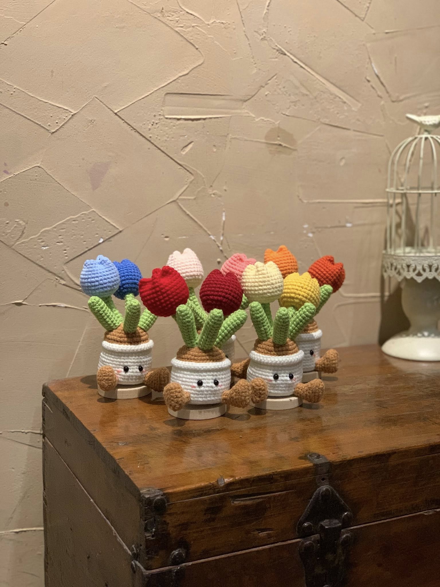 Couple Chậu Hoa Tulip nhiều màu