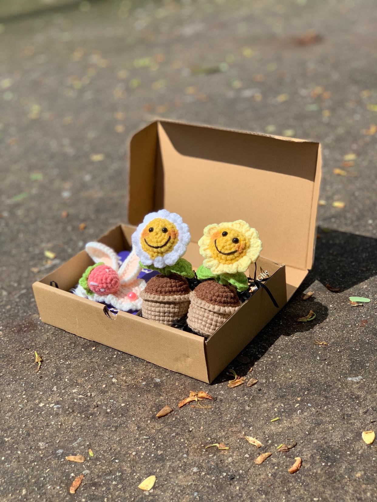 Set Hoa Mặt Cười