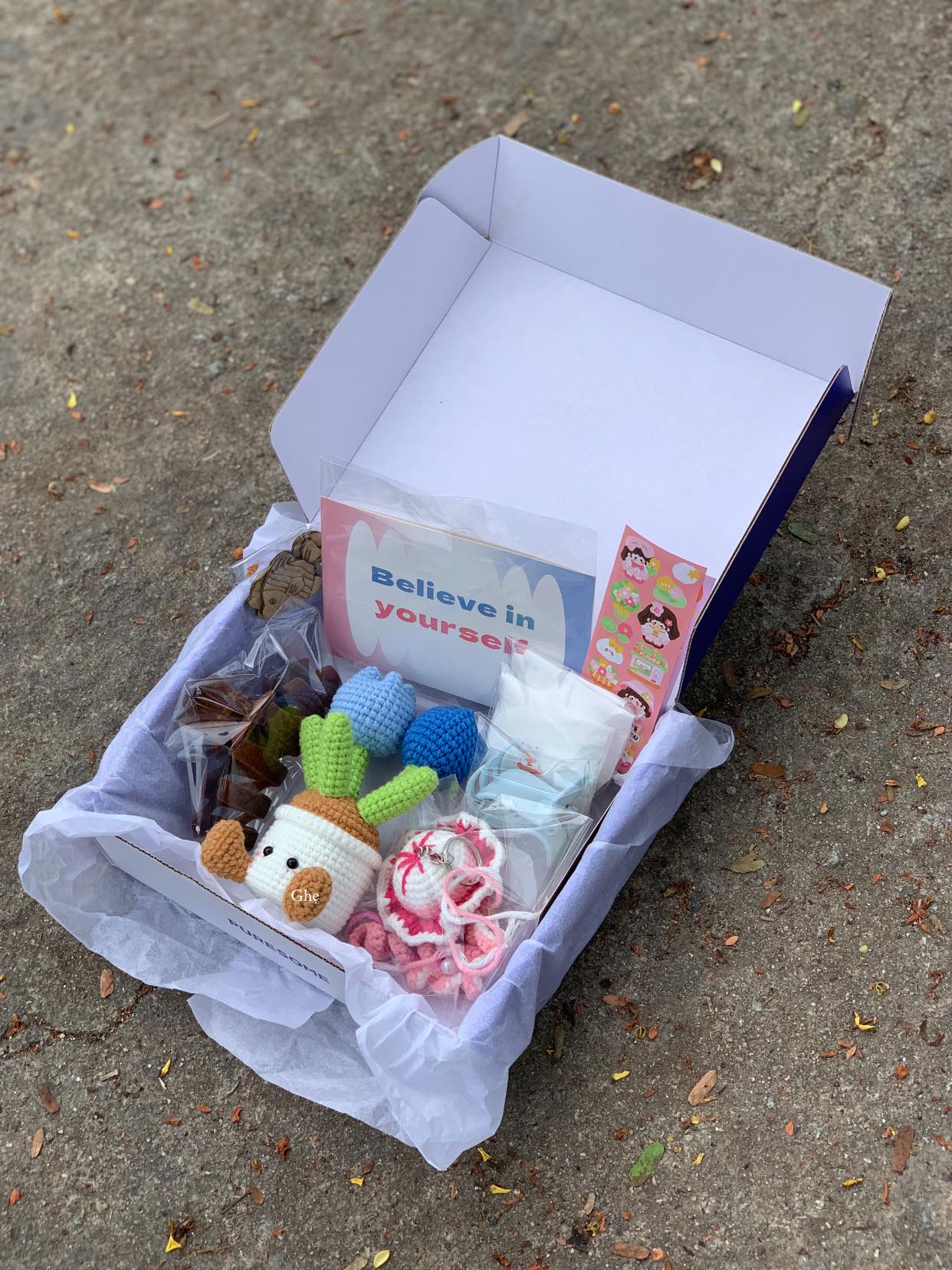 Hộp Chậu Hoa Sứa