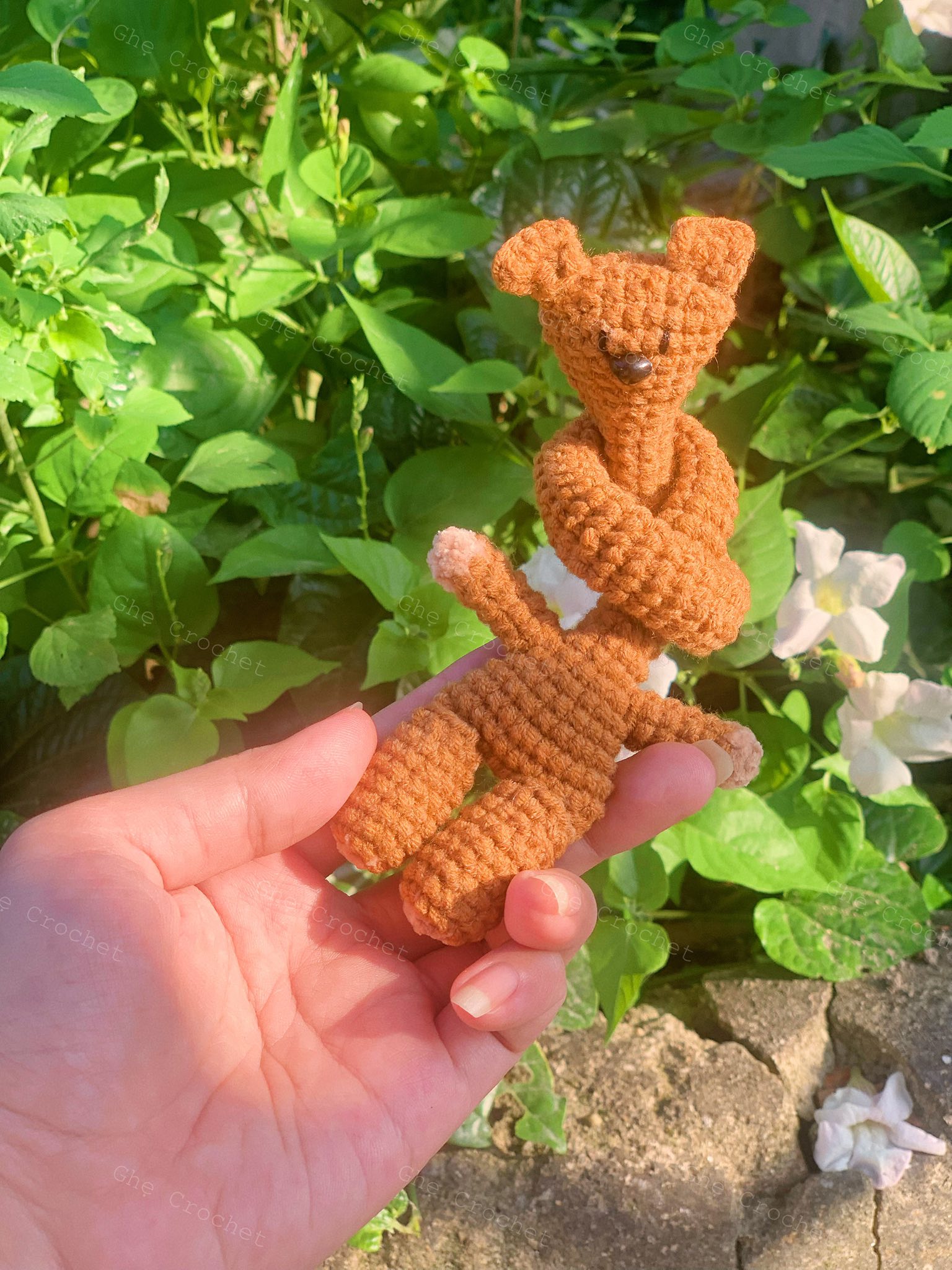 Gấu Teddy cổ dài